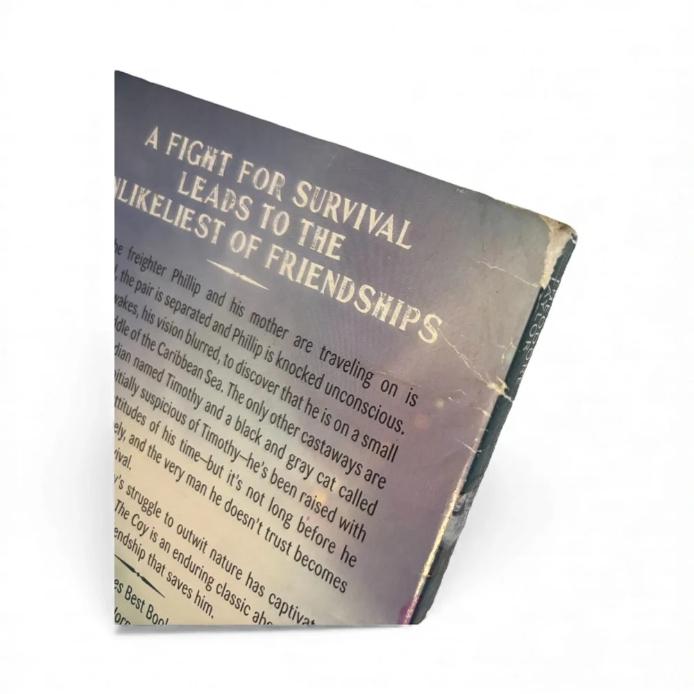 The Cay by Theodore Taylor used condition paper back